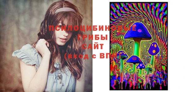 гидропоника Киренск